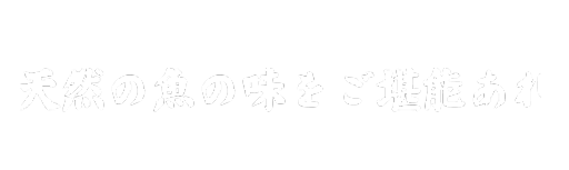 すべて天然の魚のみを使用！養殖や冷凍ものは、一切使用しておりません。