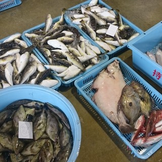大津港の水揚げを直接買い上げるので、いつも魚が新鮮！のイメージ
