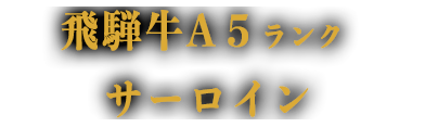 トップ ｒｏｂａｔａとんぼ