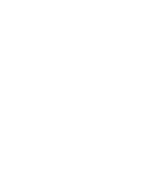 BAR11