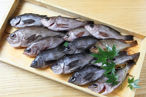 魚炉目のこだわり。”旬魚技想”