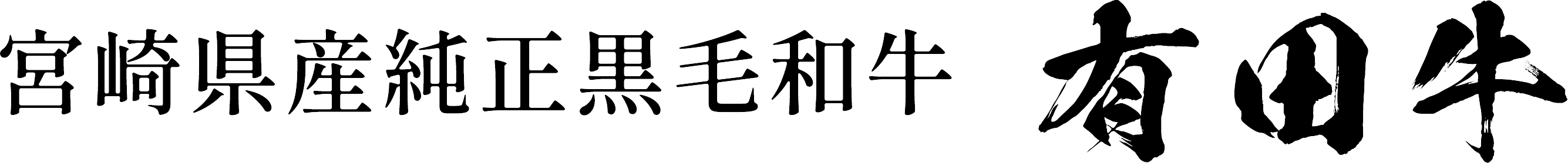 宮崎県産純正黒毛和牛 有田牛